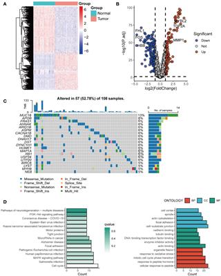 An exosome-based specific transcriptomic signature for profiling regulation patterns and modifying tumor immune microenvironment infiltration in triple-negative breast cancer